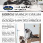 Att köpa katt - sid 1