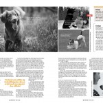 Hundens språk - sid 2
